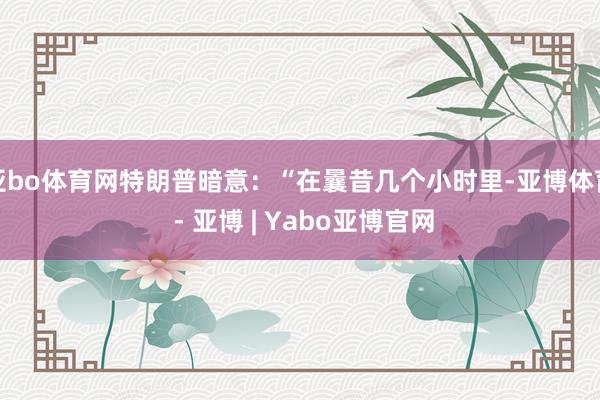 亚bo体育网特朗普暗意:“在曩昔几个小时里-亚博体育 - 亚博 | Yabo亚博官网