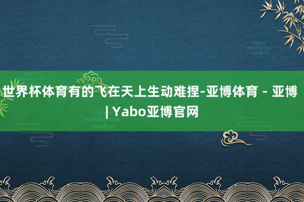 世界杯体育有的飞在天上生动难捏-亚博体育 - 亚博 | Yabo亚博官网