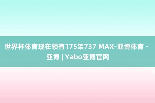 世界杯体育现在领有175架737 MAX-亚博体育 - 亚博 | Yabo亚博官网